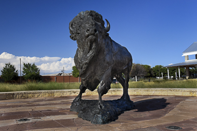 frontier texas buffalo